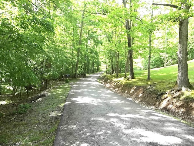 444 Gordon Rd, Beverly, WV 26253 - view of road with a wooded view