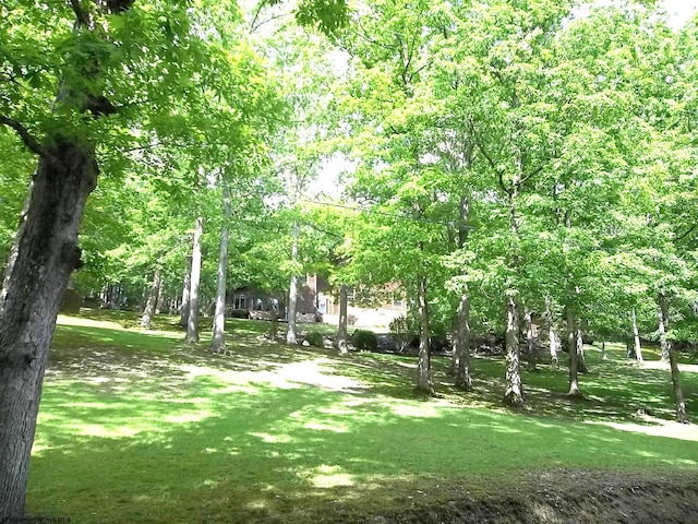 444 Gordon Rd, Beverly, WV 26253 - view of property's community with a yard