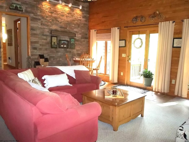 444 Gordon Rd, Beverly, WV 26253 - living room with healthy amount of natural light, wooden walls, and carpet