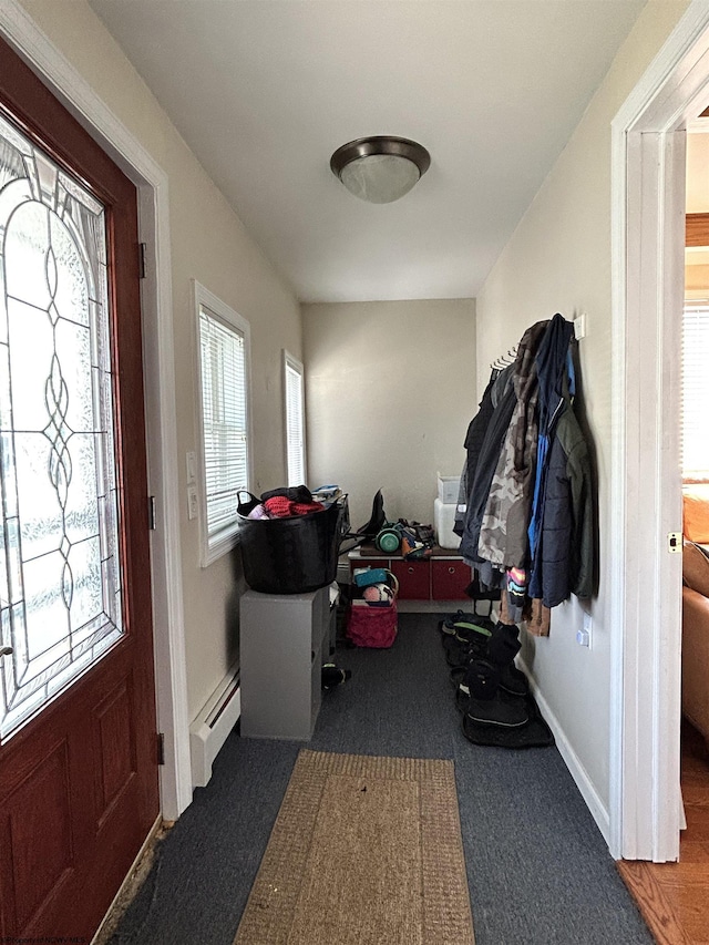 420 Fairfax Ave, Davis, WV 26260 - foyer entrance with carpet floors and baseboard heating