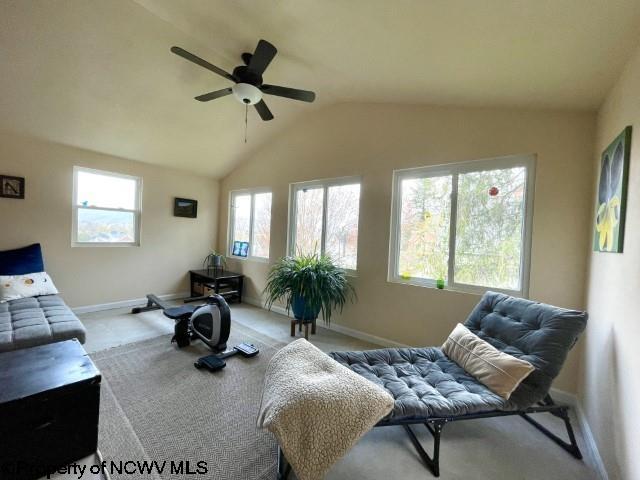 5 Key St, Elkins, WV 26241 - living area featuring a ceiling fan, carpet, baseboards, and lofted ceiling