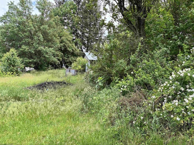 TBD Walnut St, Belington, WV 26250