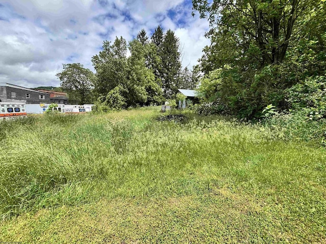 TBD Walnut St, Belington, WV 26250
