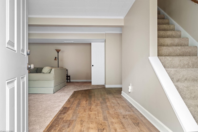 101 Forest Dr, Morgantown, WV 26505 - laundry room with ornamental molding, baseboards, and carpet flooring
