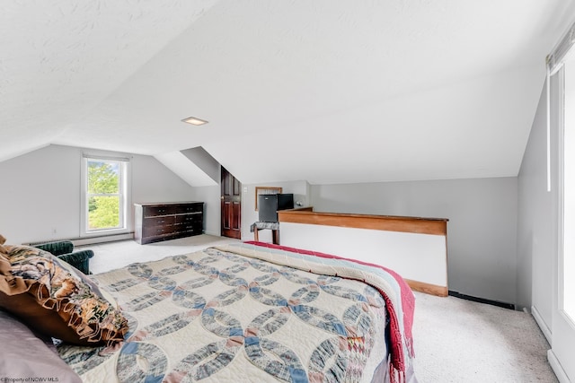 14318 N Preston Hwy, Bruceton Mills, WV 26525 - bedroom featuring light colored carpet, lofted ceiling, and baseboards
