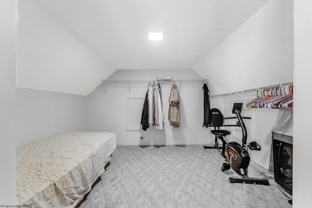 14318 N Preston Hwy, Bruceton Mills, WV 26525 - walk in closet with vaulted ceiling and carpet flooring