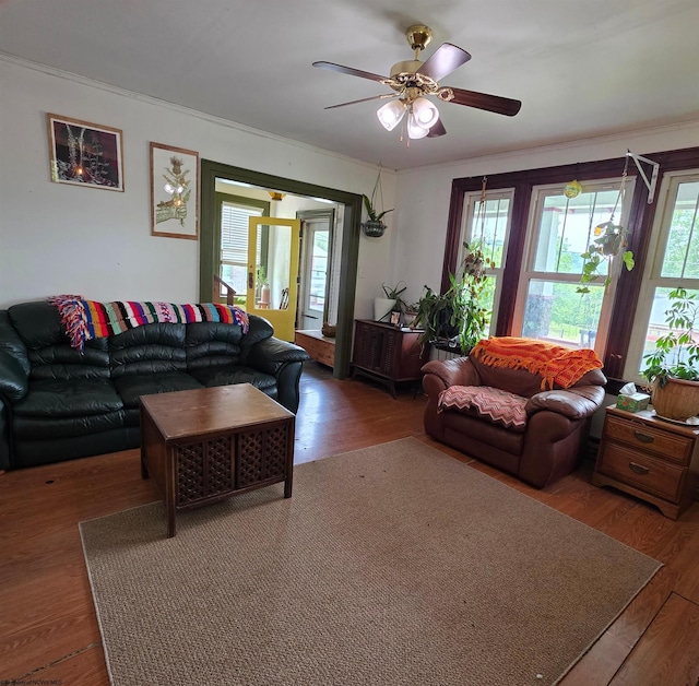 147 E 6th St, Weston, WV 26452 - living area with ceiling fan, wood finished floors, and crown molding