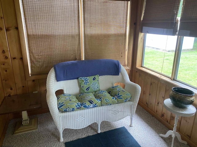 1730 S Davis Ave, Elkins, WV 26241 - view of sunroom / solarium