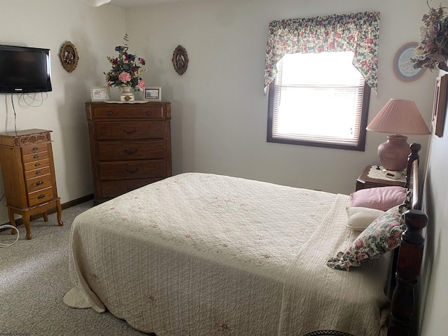1730 S Davis Ave, Elkins, WV 26241 - view of carpeted bedroom