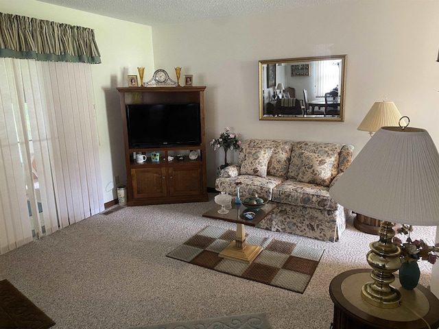 1730 S Davis Ave, Elkins, WV 26241 - living room with carpet floors