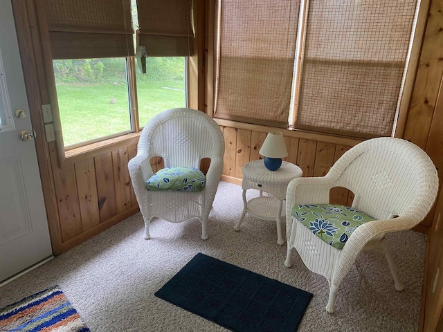1730 S Davis Ave, Elkins, WV 26241 - view of sunroom
