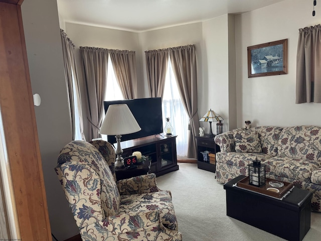 262 Henry Ave, Davis, WV 26260 - living area featuring carpet flooring