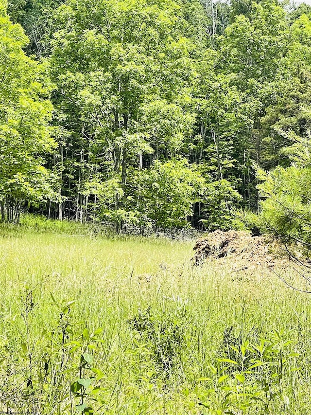 873 Arlie Simmons Rd, Franklin, WV 26807