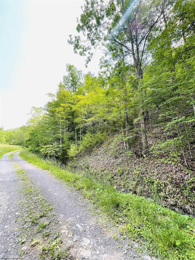 873 Arlie Simmons Rd, Franklin, WV 26807