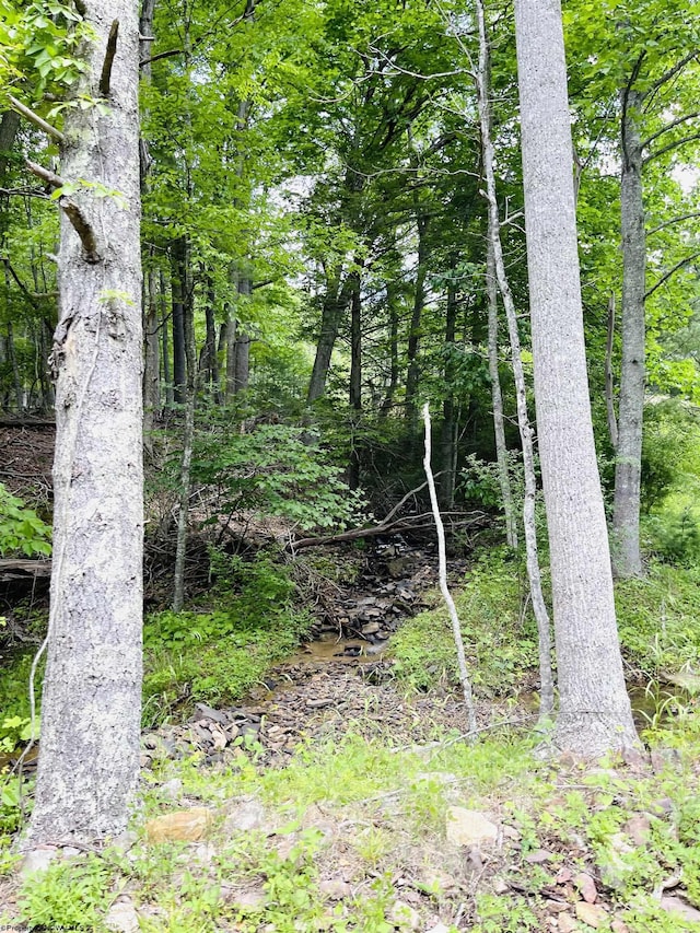 873 Arlie Simmons Rd, Franklin, WV 26807
