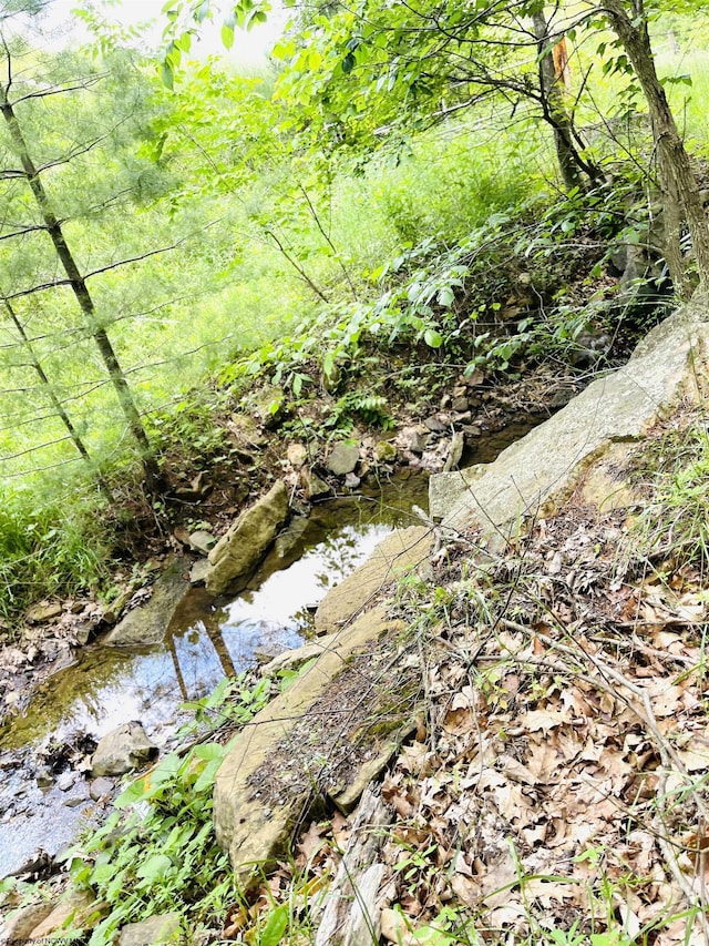 873 Arlie Simmons Rd, Franklin, WV 26807
