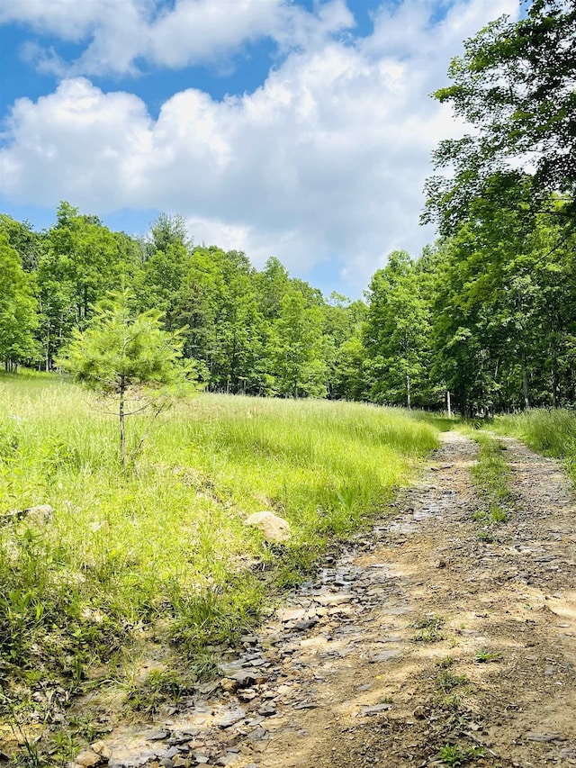 873 Arlie Simmons Rd, Franklin, WV 26807