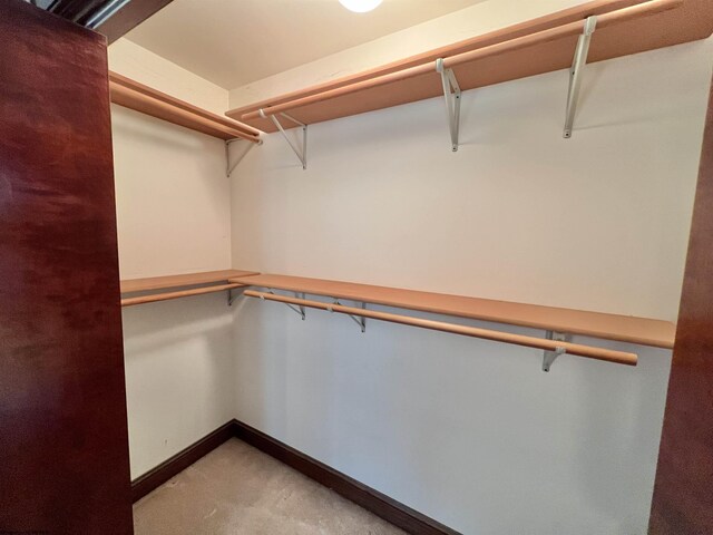 200 Heckle Ln, Elkins, WV 26241 - walk in closet featuring light colored carpet