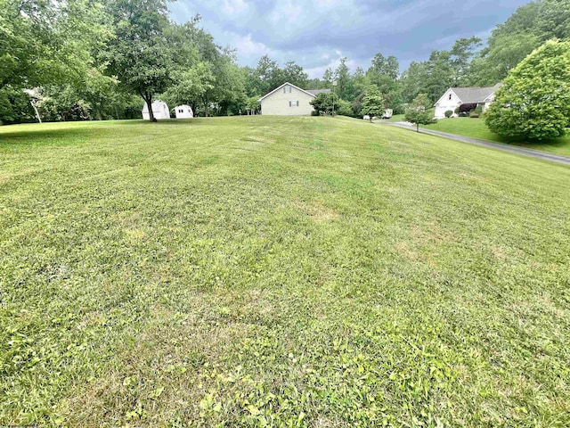 200 Heckle Ln, Elkins, WV 26241 - view of grassy yard featuring view of wooded area