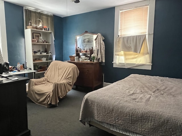 115 Walnut St, Rowlesburg, WV 26425 - bedroom featuring carpet