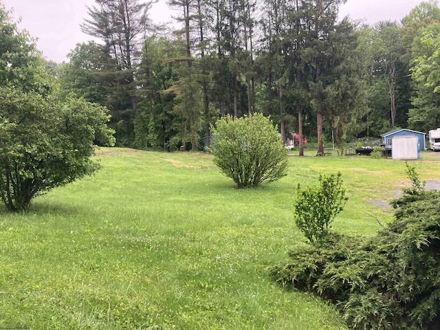 239 Morgan St, Kingwood, WV 26537