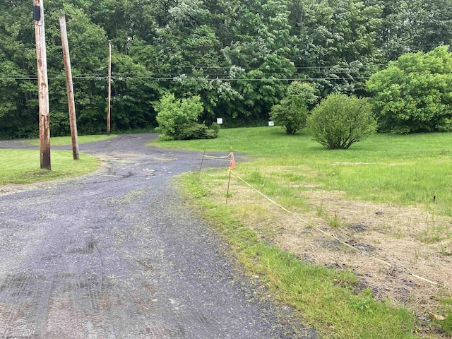 239 Morgan St, Kingwood, WV 26537