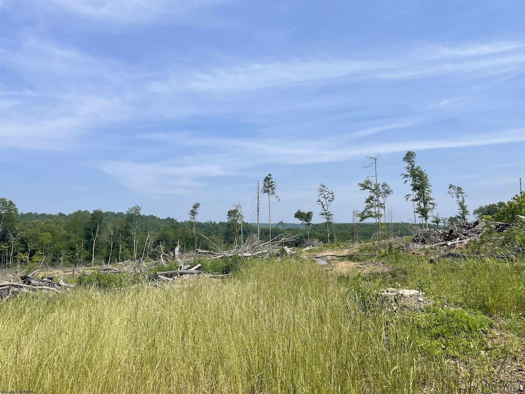 LOT17 Hanlin Rd, Bruceton Mills, WV 26525
