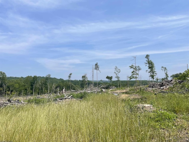LOT17 Hanlin Rd, Bruceton Mills, WV 26525