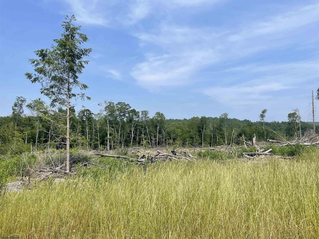 LOT17 Hanlin Rd, Bruceton Mills, WV 26525