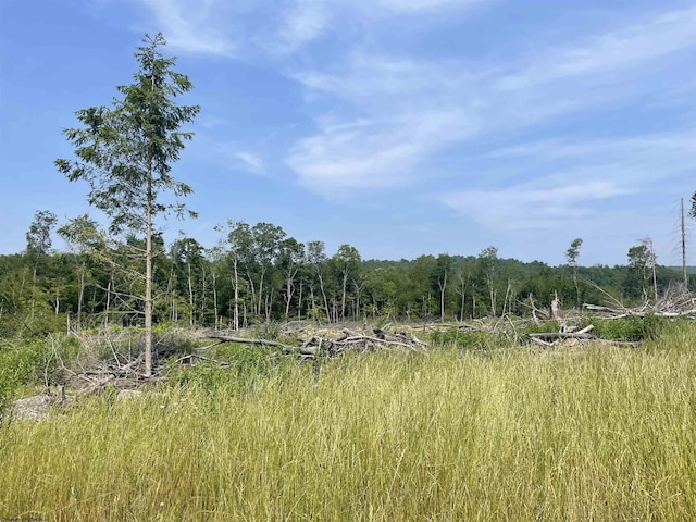 LOT17 Hanlin Rd, Bruceton Mills, WV 26525