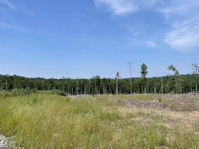 LOT18 Hanlin Rd, Bruceton Mills, WV 26525