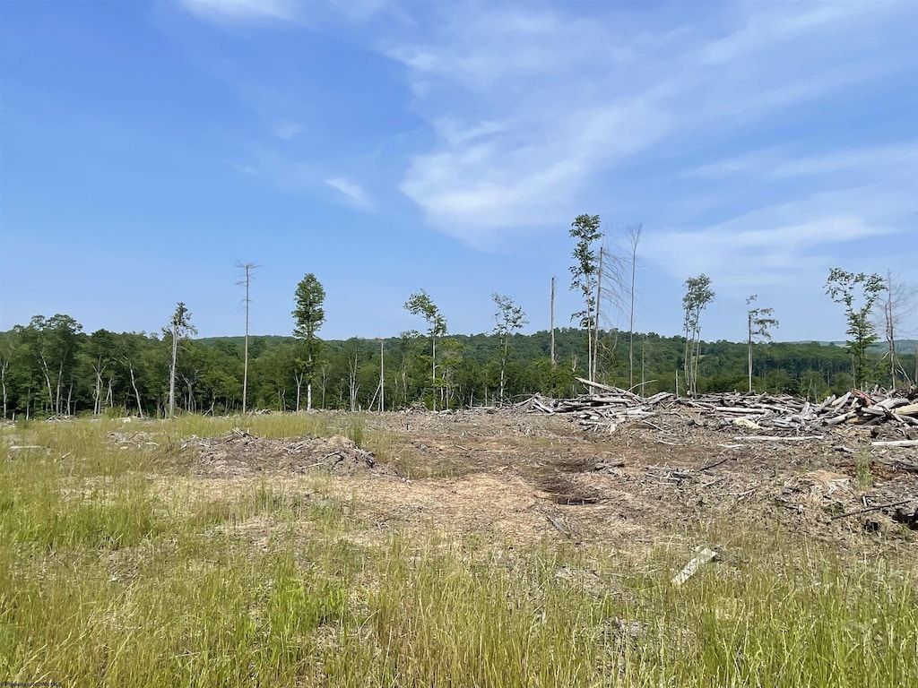 LOT18 Hanlin Rd, Bruceton Mills, WV 26525