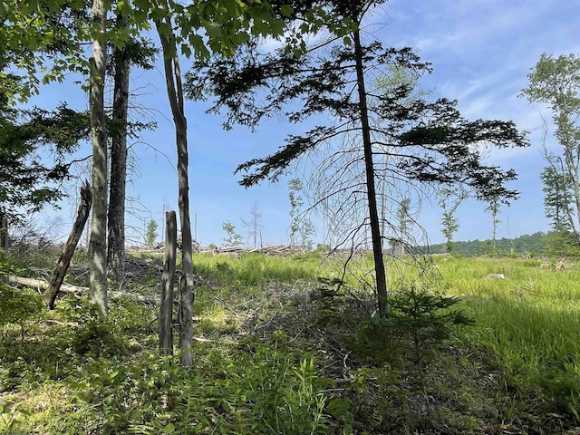 LOT19 Hanlin Rd, Bruceton Mills, WV 26525
