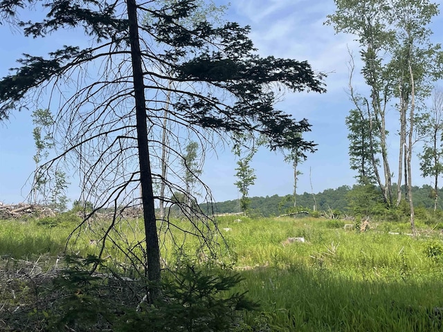 LOT19 Hanlin Rd, Bruceton Mills, WV 26525