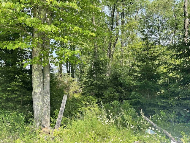 LOT20 Hanlin Rd, Bruceton Mills, WV 26525