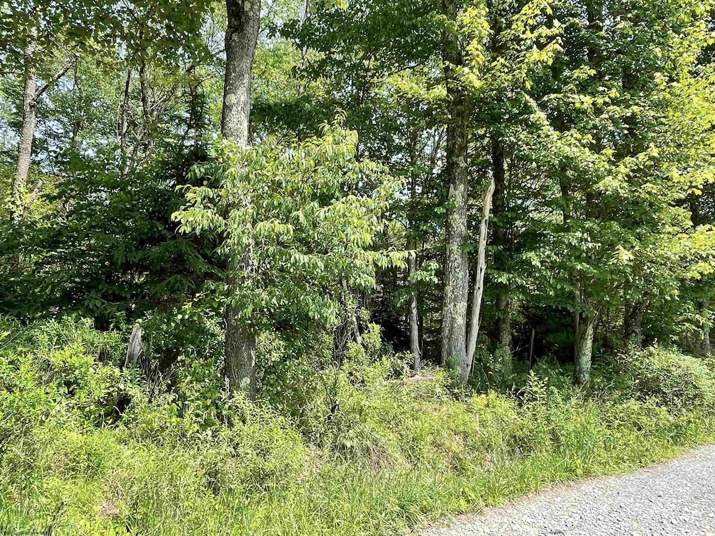 LOT20 Hanlin Rd, Bruceton Mills, WV 26525