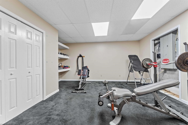 142 Vecchio Ln, Morgantown, WV 26508 - workout room featuring carpet flooring and a drop ceiling