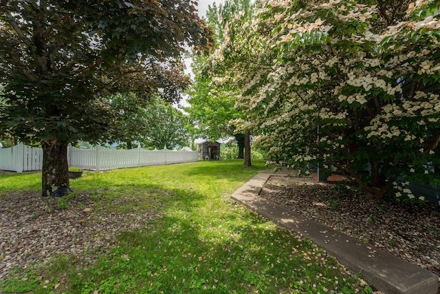 142 Vecchio Ln, Morgantown, WV 26508 - view of yard featuring a shed