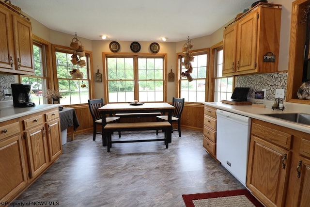 16 Greentree Ln, Elkins, WV 26241 - kitchen featuring dishwasher, backsplash, plenty of natural light, and light countertops