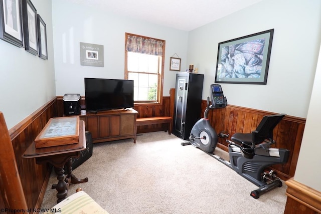 16 Greentree Ln, Elkins, WV 26241 - office featuring a wainscoted wall, wood walls, and light carpet