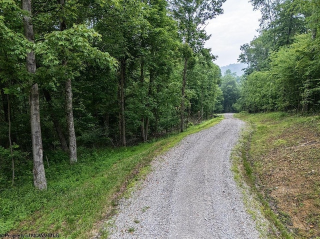 LOT130 Laurel Loop, Bruceton Mills, WV 26525