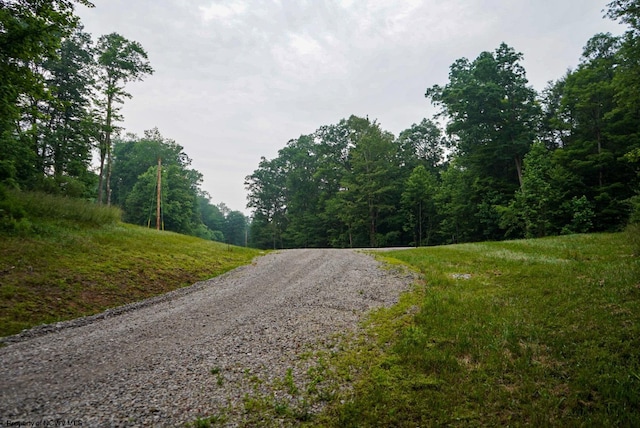 LOT130 Laurel Loop, Bruceton Mills, WV 26525