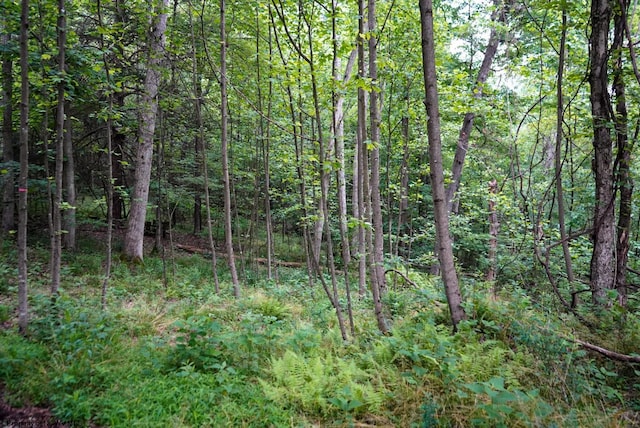 LOT130 Laurel Loop, Bruceton Mills, WV 26525