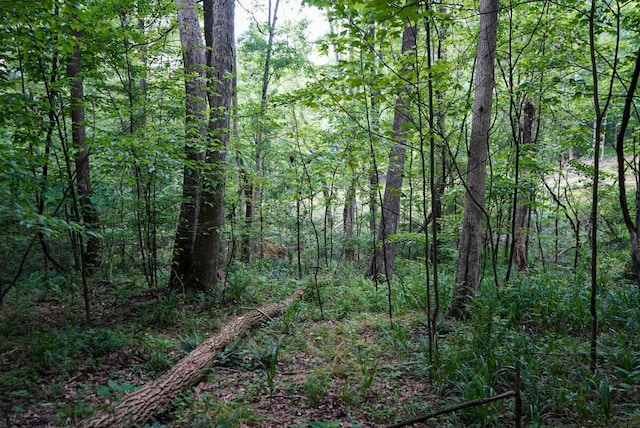 LOT130 Laurel Loop, Bruceton Mills, WV 26525