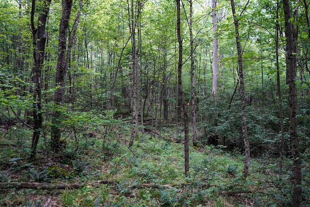 LOT130 Laurel Loop, Bruceton Mills, WV 26525