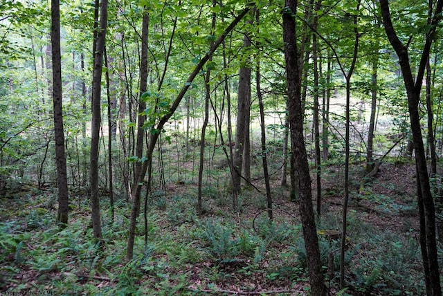 LOT130 Laurel Loop, Bruceton Mills, WV 26525