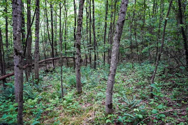 LOT130 Laurel Loop, Bruceton Mills, WV 26525
