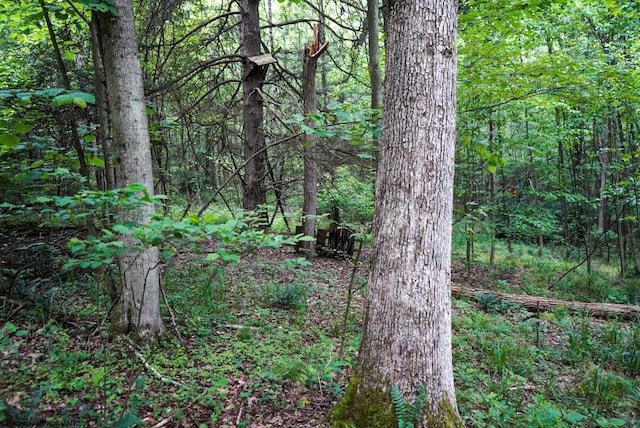 LOT130 Laurel Loop, Bruceton Mills, WV 26525