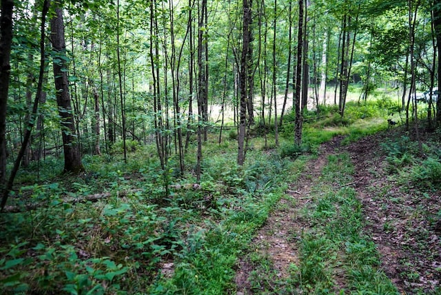 LOT130 Laurel Loop, Bruceton Mills, WV 26525