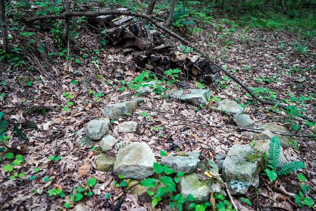 LOT130 Laurel Loop, Bruceton Mills, WV 26525